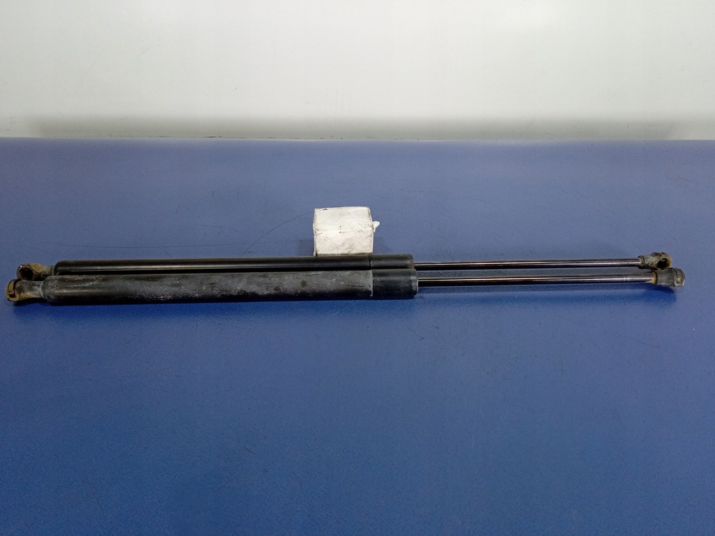 фото №1, Renault scenic iii амортизаторы крышки задняя 904500004r