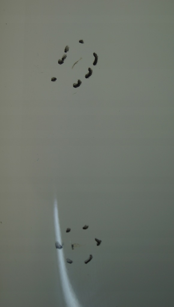 фото №12, Крыло левый перед kia picanto i lift ud