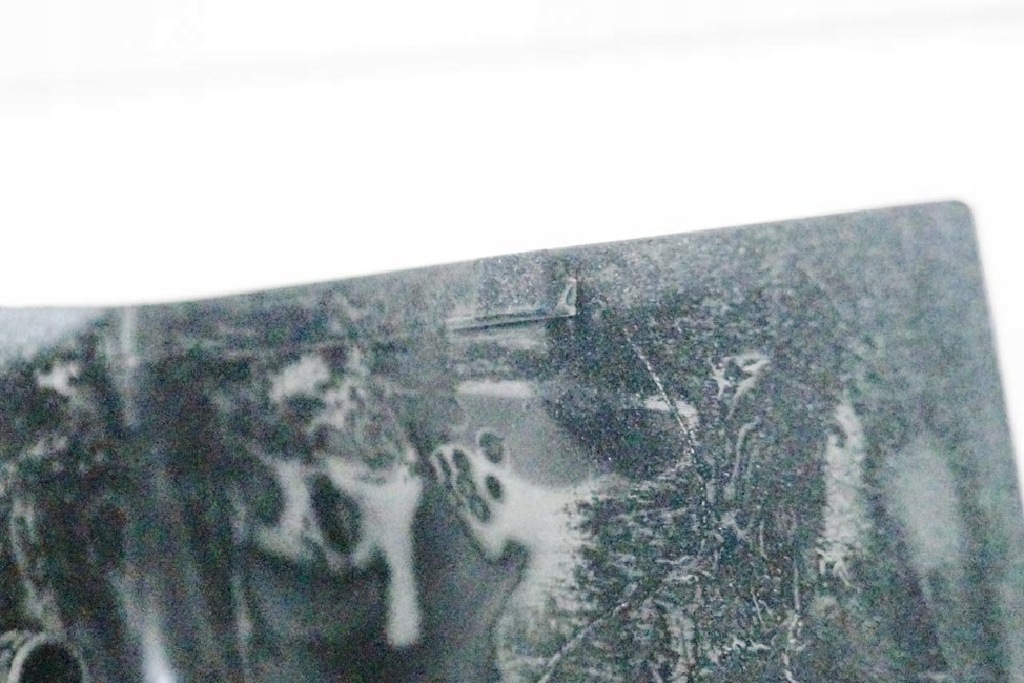 фото №8, Land rover range rover evoque lv захист дзеркало бічного права lr025170