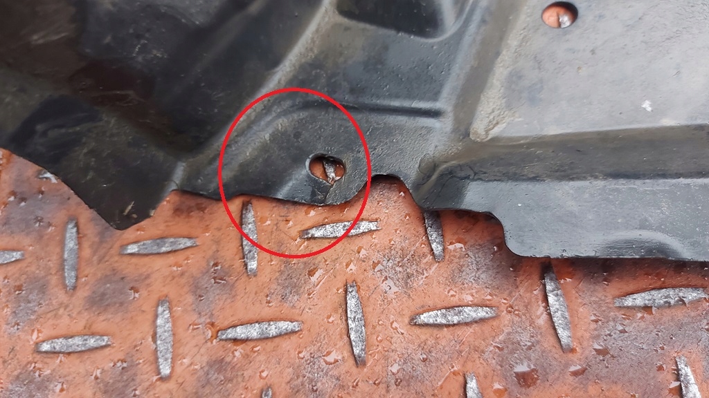 фото №12, Підкрилок правий перед toyota corolla e21 19- kombi hb