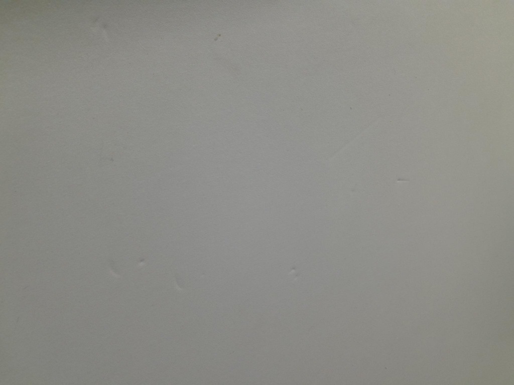 фото №4, Lexus is220d стеля козирки ручки