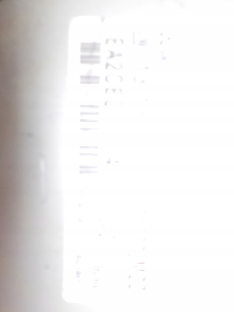 фото №8, Колонка рулевая усилитель электрический 13136672