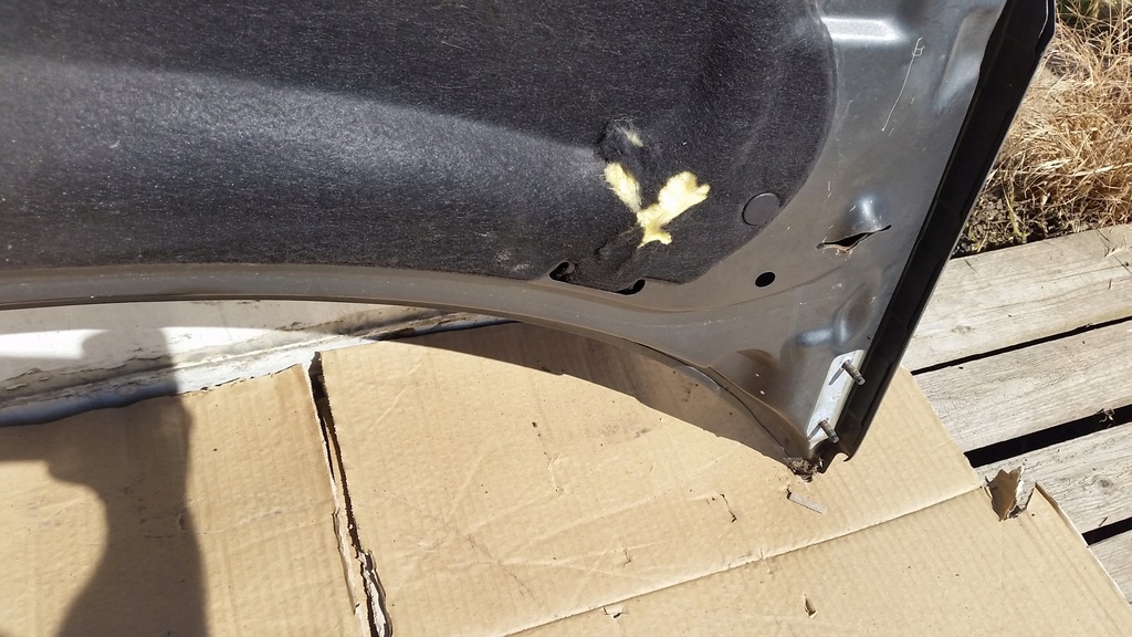 фото №7, Капот перед peugeot 206 plus +