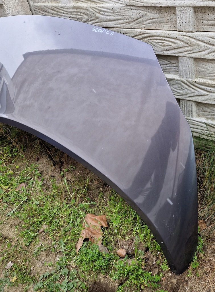 фото №2, Капот кришка renault scenic ii