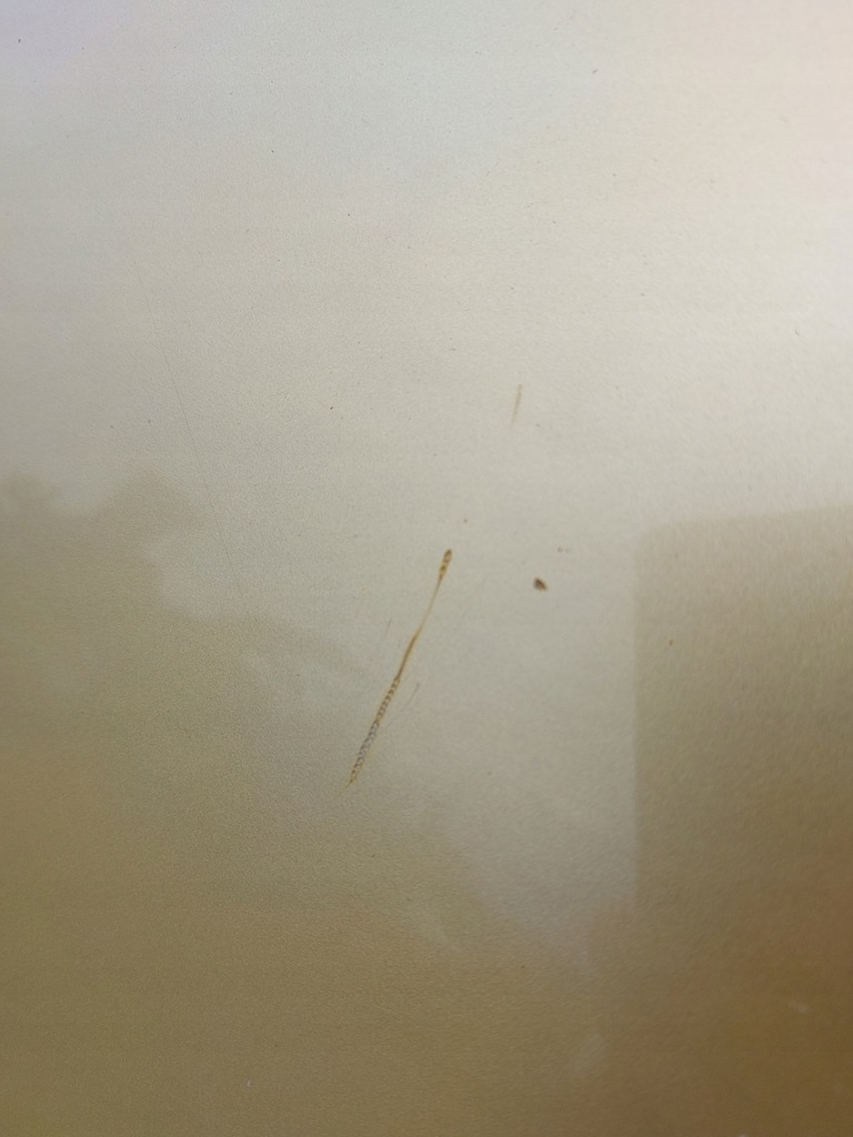 фото №7, Peugeot 307 капот перед передня