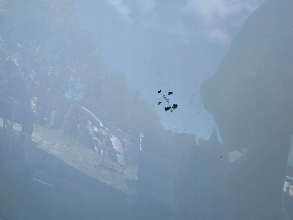 фото №7, Капот opel corsa e