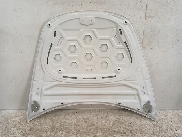 Капот кришка двигуна tesla 3 3 17- Доставка