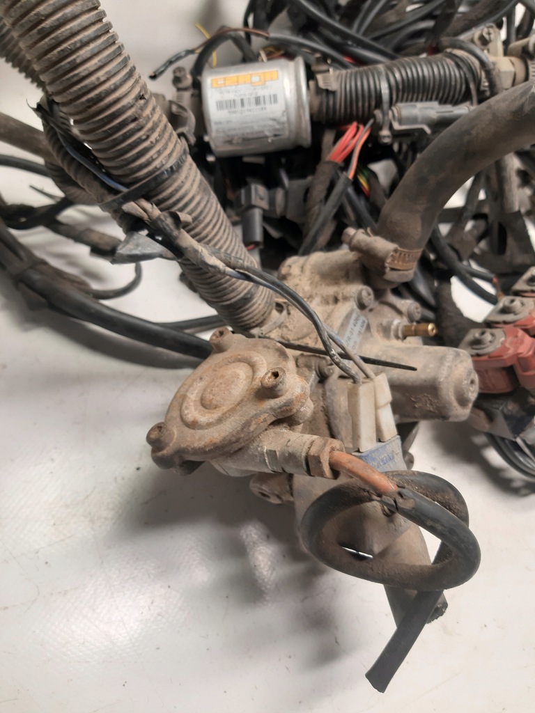 фото №6, Електропроводка газова lpg lovato tomasetto valtek ps01