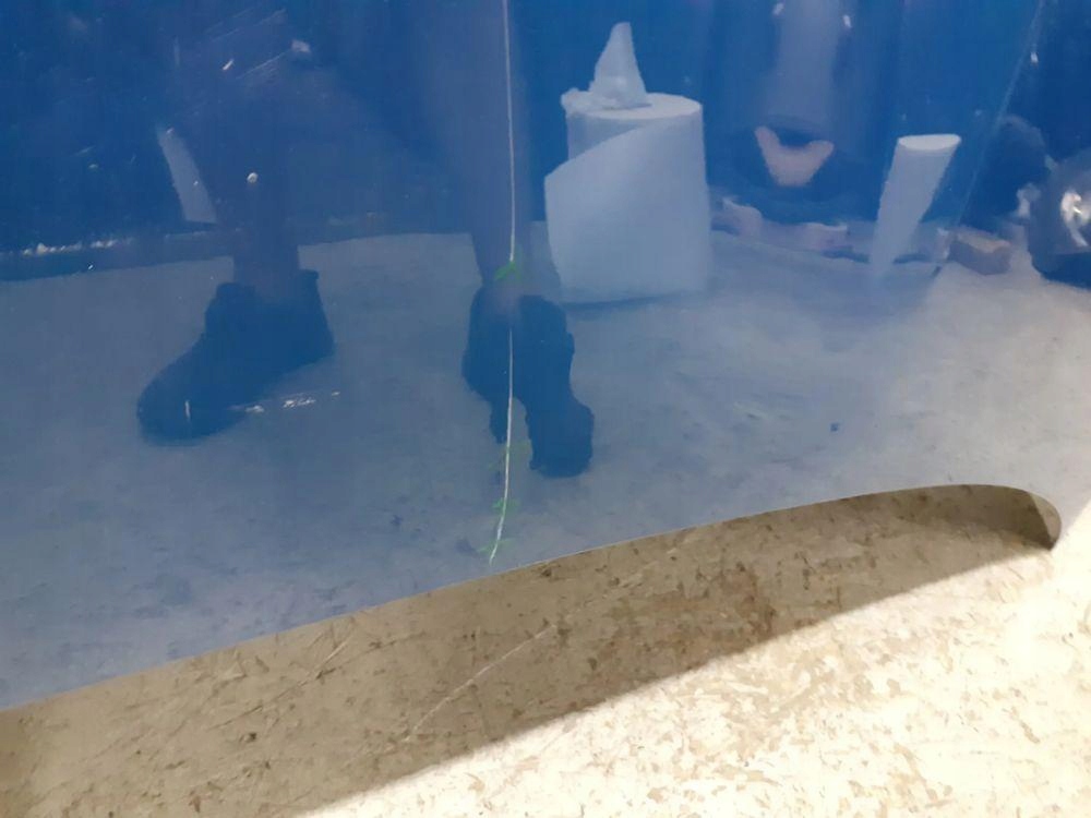 фото №7, Капот renault zoe lift 2018-