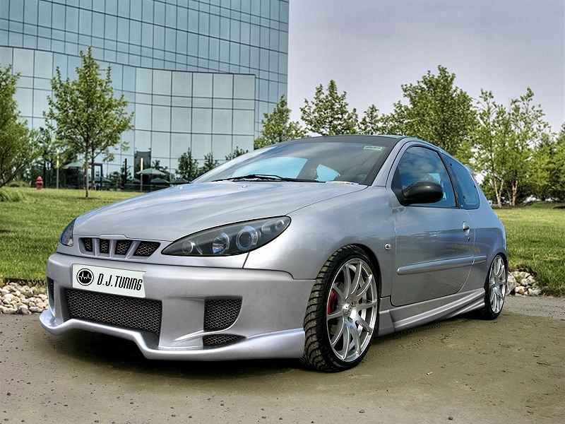 фото №1, Peugeot 206 решётка радиатора dj-tuning