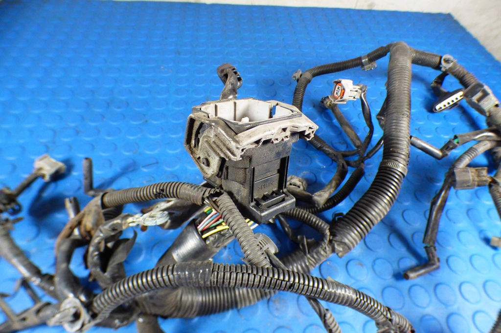 фото №4, Электропроводка двигателя ee20 subaru forester iii 2.0 дизель