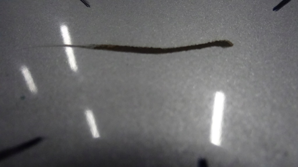 фото №8, Mondeo iii 3 капот