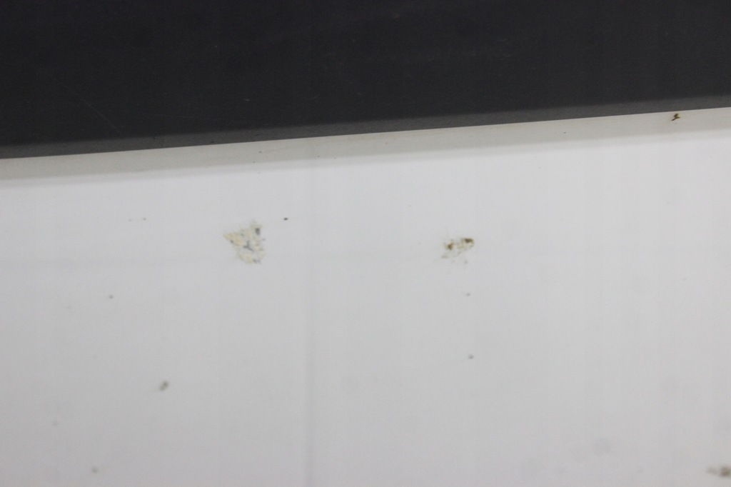 фото №7, Renault kangoo ii 07r- дверь левая боковой сдвижные ov389 o389 0389