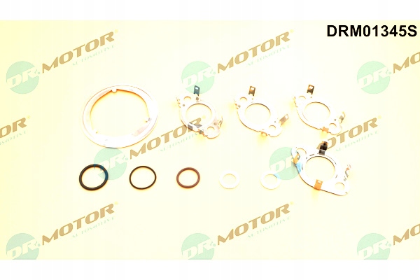 фото №1, Dr.motor automotive набор прокладка клапана egr