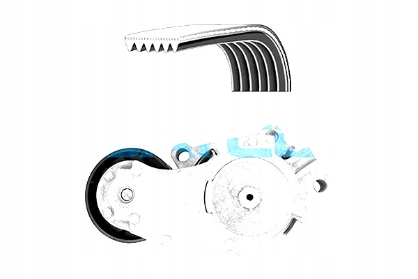 фото №2, Dayco kpv343 набір ремінь клиновий багаторучейковий