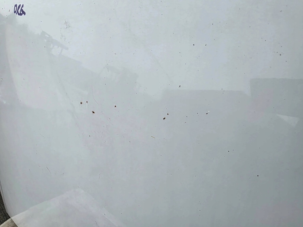 фото №9, Капот audi a3 8p lift 2008-2011 оригінал ly9c !!!