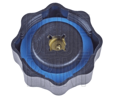 Крышка радиатора mini Доставка