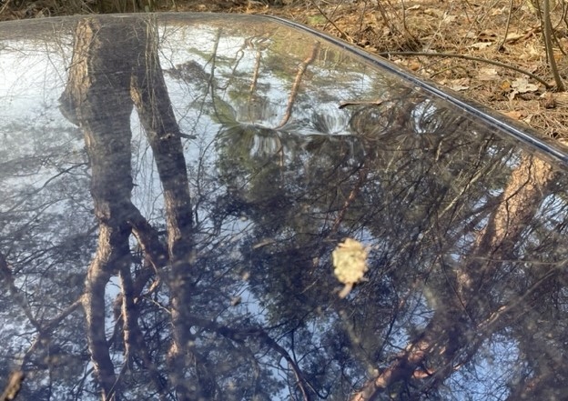 фото №4, Maserati ghibli m157 дах