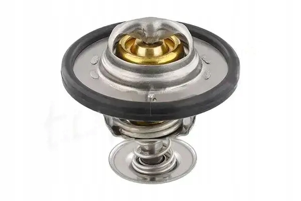 фото №1, Термостат 305 170 topran ford ecosport focus