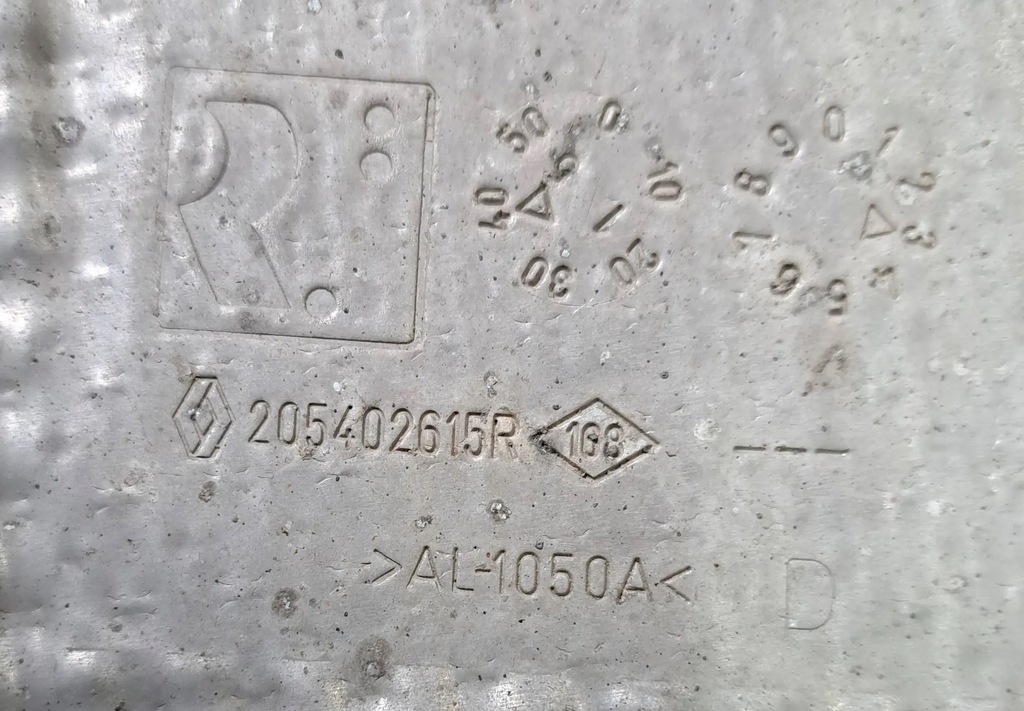 фото №3, Dacia dokker захист теплова