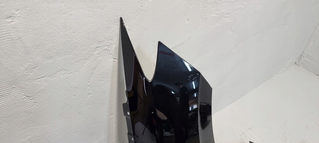 фото №13, Крыло правый перед mg zs 17-