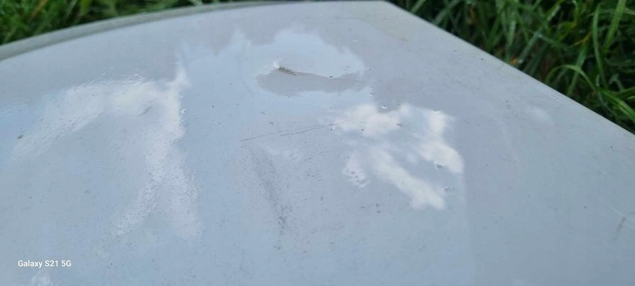 фото №8, Капот крышка двигателя iveco daily