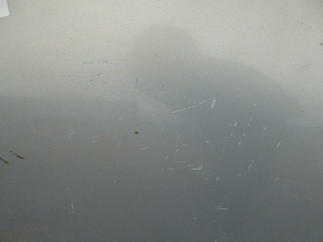 фото №5, Thalia i lift дверь задняя левая 4d