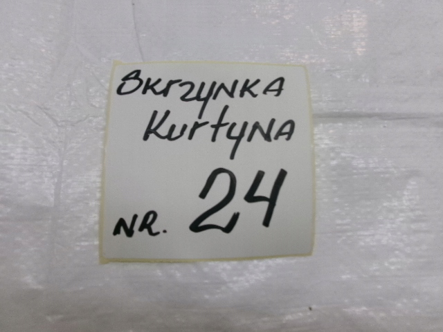 фото №7, Fiat tipo ii шторка безопасности подушка безопасности правая