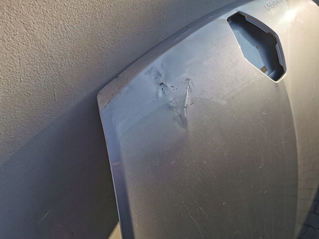 фото №10, Капот renault laguna iii