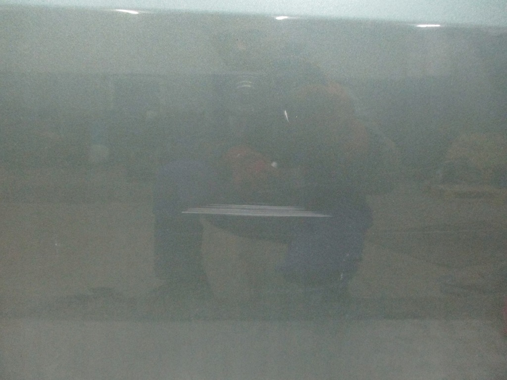 фото №3, Двері правий перед renault scenic ii ted97