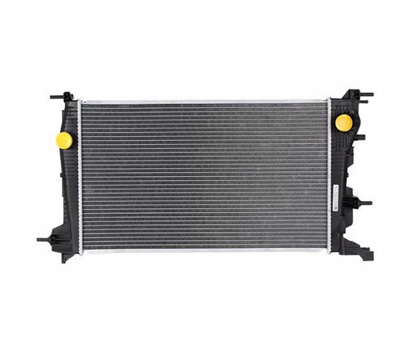 Купити Радіатор води renault scenic 13- 214106387r нова