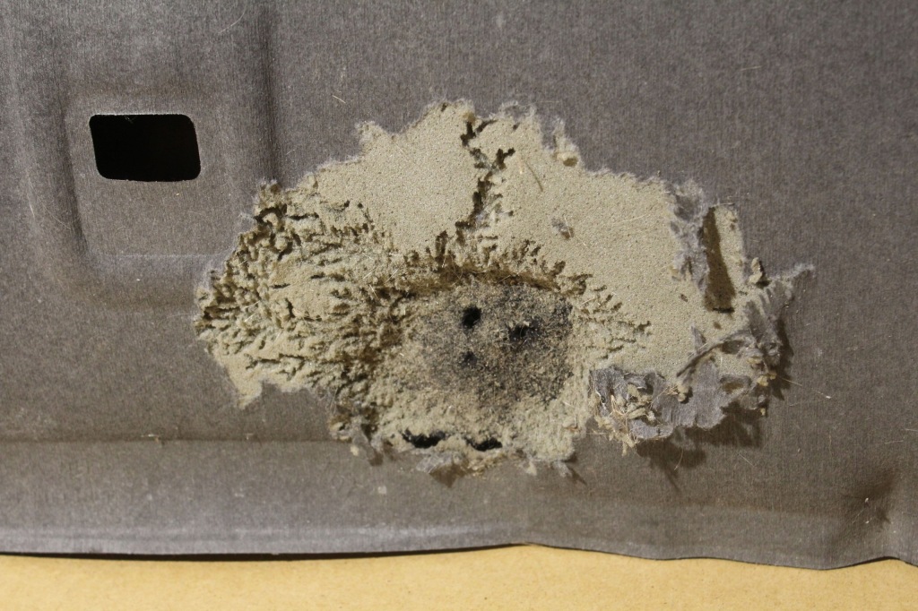 фото №3, Renault talisman 2016- шумоізоляція капот