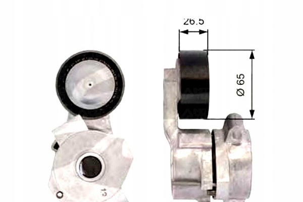 Gates t39107 натягувач ремінь клиновий багаторучейковий Зі Шроту