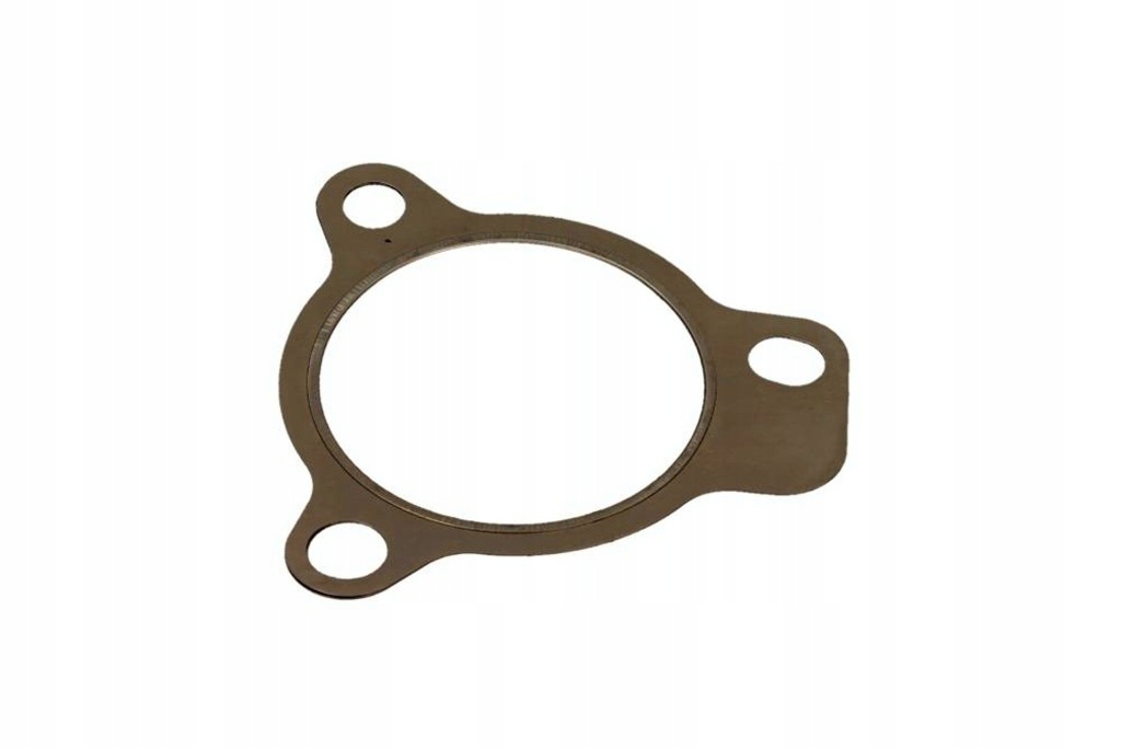 фото №1, Прокладка турбонагнітача mazda 3 2,2cd 09- fischer