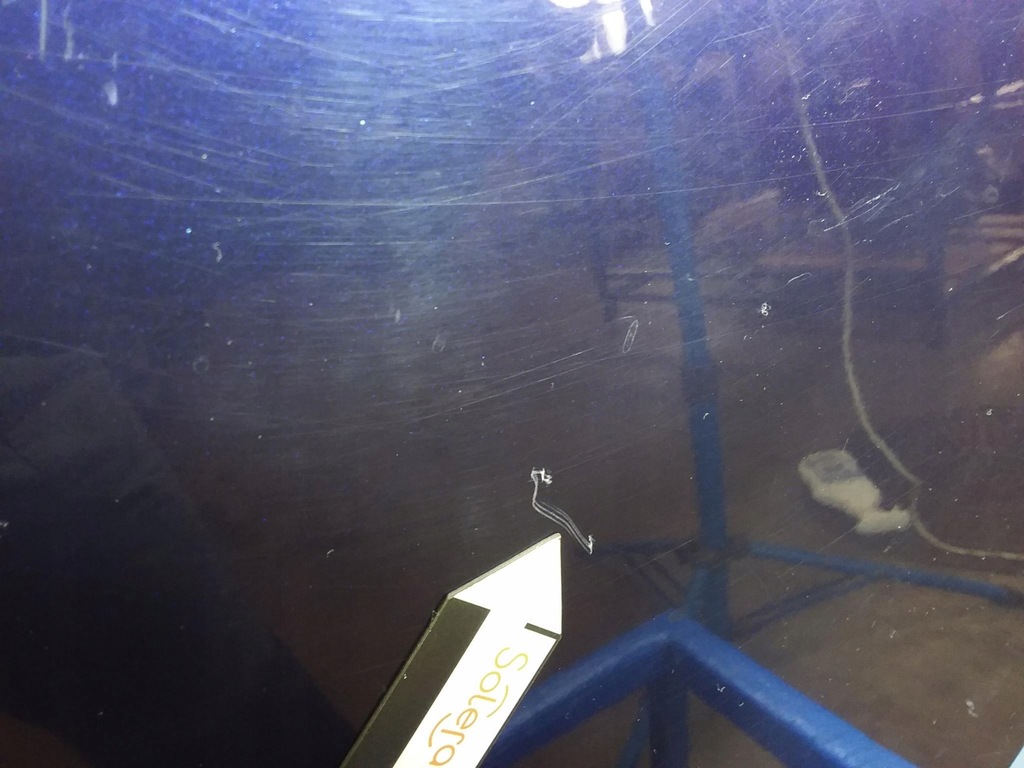 фото №5, Honda accord vii kombi двері задня ліва b502p