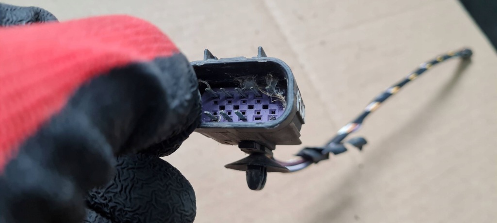 Maserati quattroporte vi штекер колодка з'єднувач pdc перед в Україні