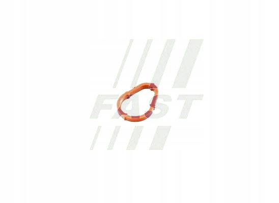 фото №1, Fast ft50702 прокладка, насос вакуумна