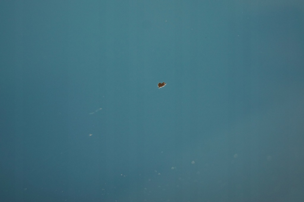 фото №7, Дверь правый перед mini cooper r56 a74/5