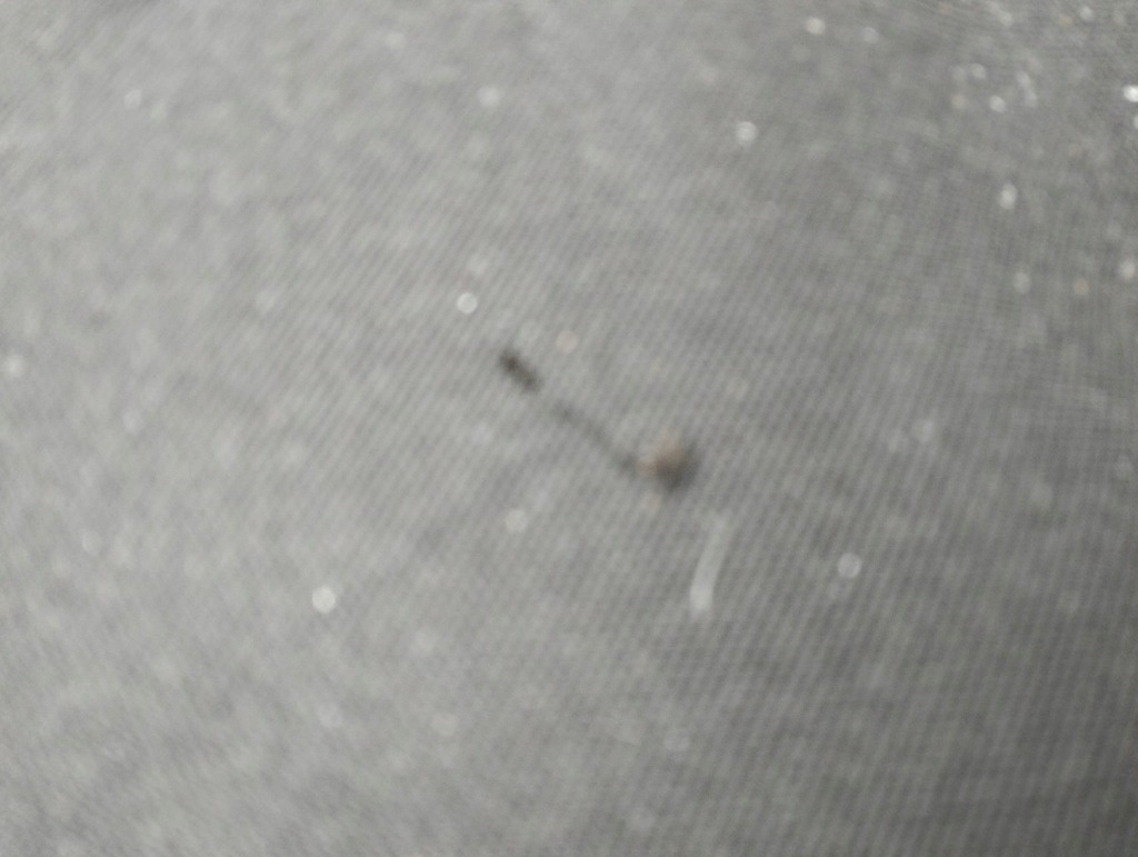 фото №8, Полка задняя багажника vw jetta 5c 2011- 5c6863413d