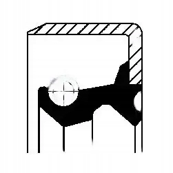 фото №1, Кільце ущільнювальний ступиця задня 19019064b