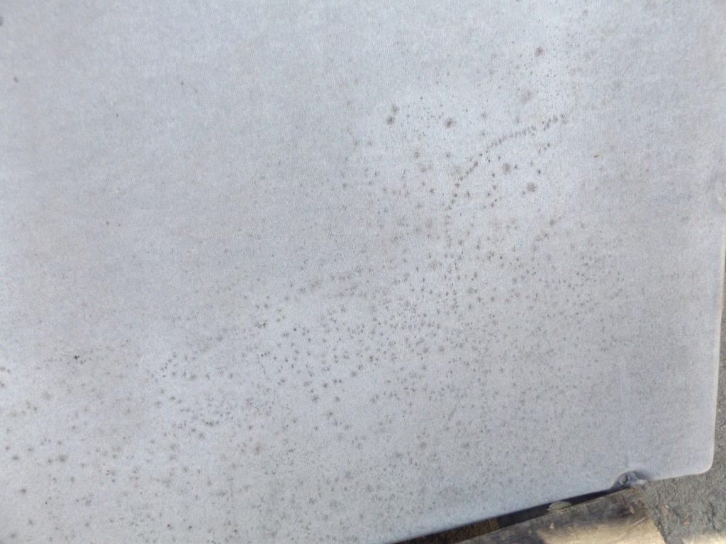 фото №2, Doblo i стеля перед