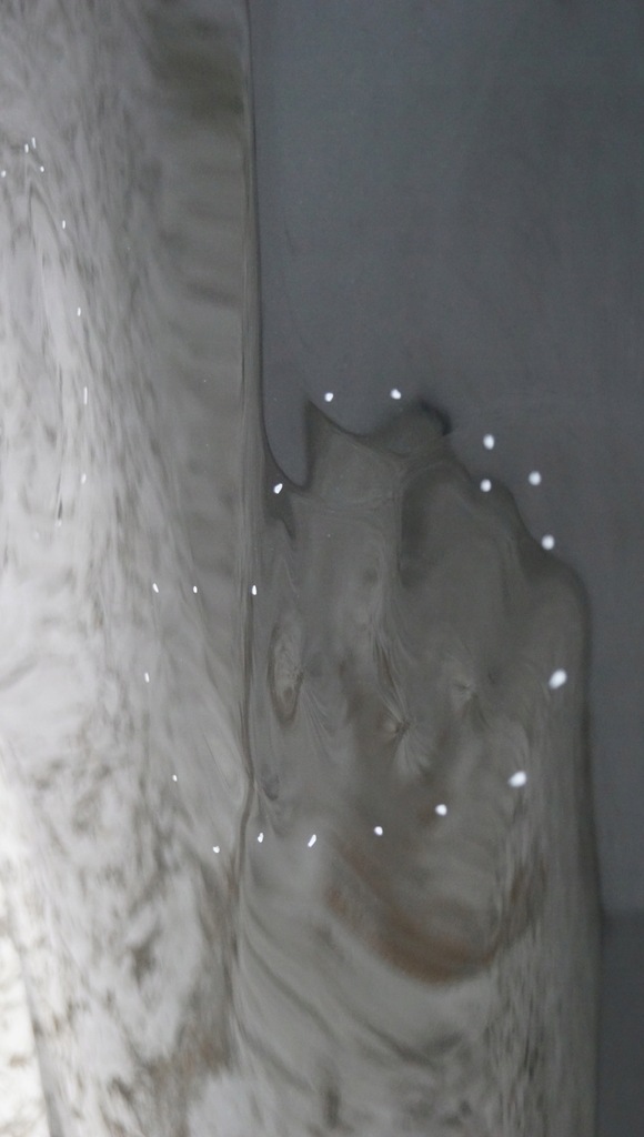 фото №16, Двері правий задня nissan juke f15