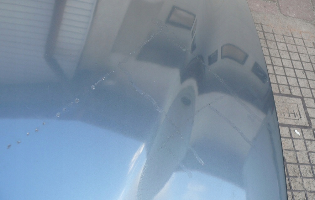 фото №12, Капот кришка двигуна решітка радіатора решітки радіатора bmw seria 7 e65 01-05r колір 892/7