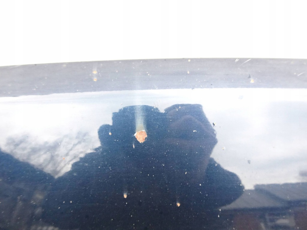 фото №6, Капот перед kpl. nissan qashqai j10 06-09r. bw9