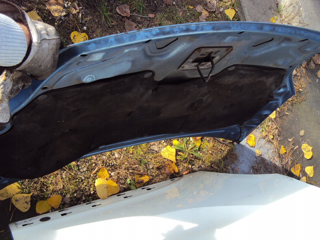 фото №3, Капот fiesta mk6 c2