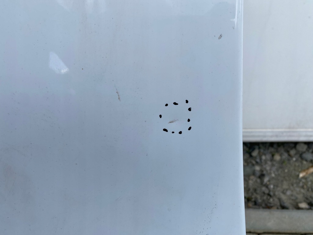 фото №10, Крила задня правий кузов bok чверть dodge ram 1500 2019+ usa