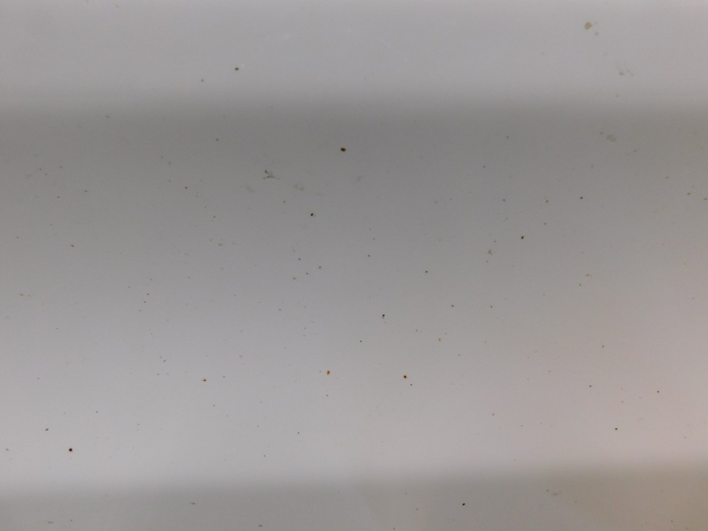 фото №7, Дверь правое перед transit connect 1.8tdci 06r