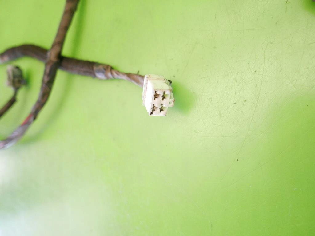 фото №9, Жгут электропроводка правая перед nissan almera tino