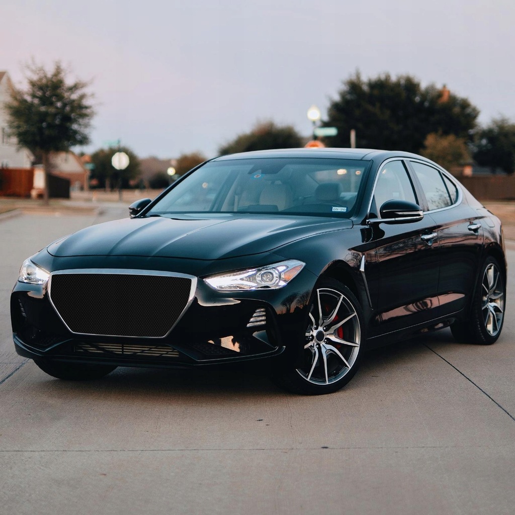 фото №11, Бампер захисний сітчастий автомобільний передня решітка решітка радіатора сітка