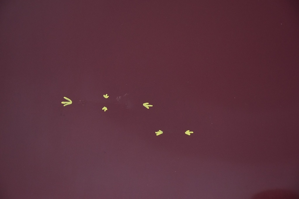 фото №5, Капот крышка двигателя volvo s60 i